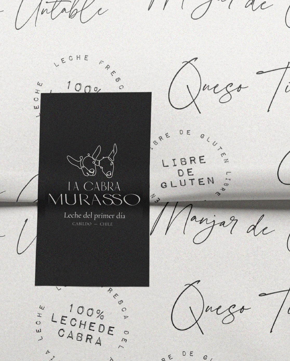 Captura de Pantalla 2026-02-13 a la(s) 15.56.48.png